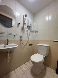The Floravale (D22), Condominium #610678641